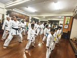 Shuri Karate Kobudō Hozonkai Shūbukan Uema Dōjōサムネイル画像2