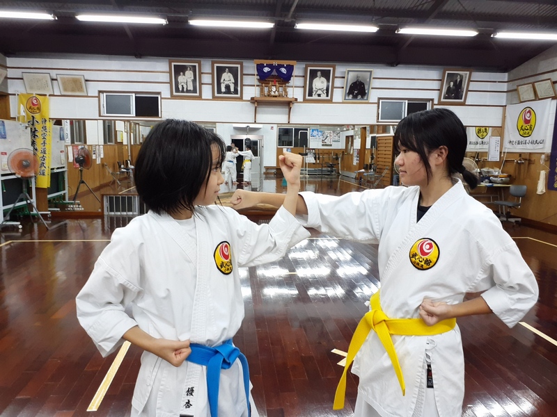 Okinawa Karatedo Kobudo Shorin-ryu Bushinkan Main Dojo Kawasaki Dojoメイン画像7