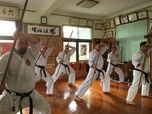 Okinawa Karatedō Shōrinji-ryū Shinkōkai Nishihara Dōjōサムネイル画像7
