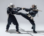 Okinawa Budo Federation Ryuseikaiサムネイル画像2
