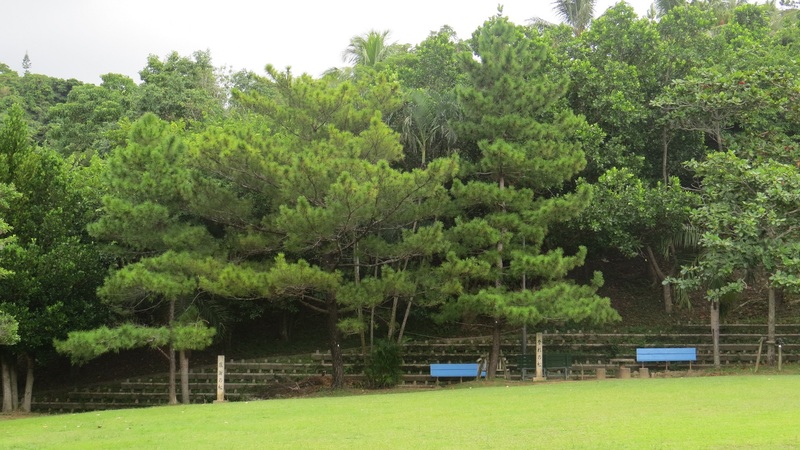 Pines of Funakoshi Gichin and his son Gigōメイン画像1