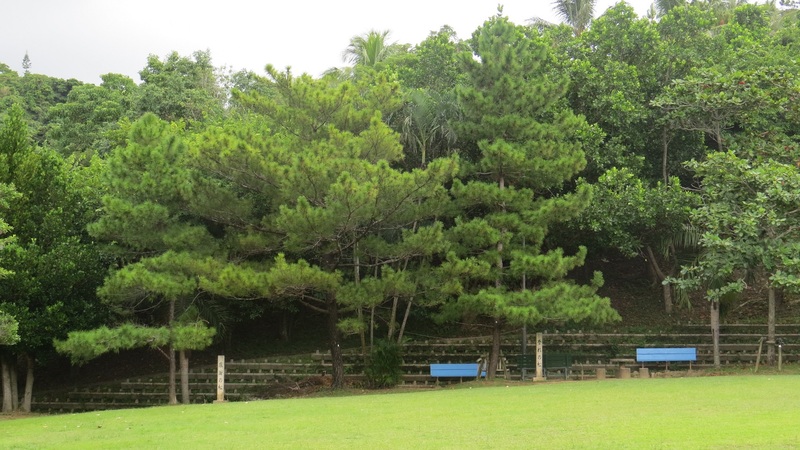 船越義珍・義豪の松
