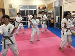 Okinawa Gojuryu Karate Ningen Jukuサムネイル画像2