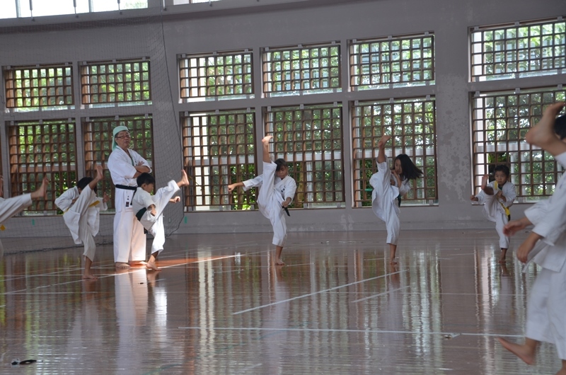 Okinawa Gojuryu Karate Ningen Jukuメイン画像3