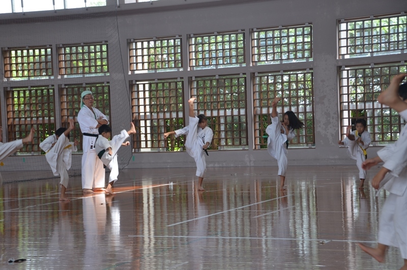 Okinawa Gojuryu Karate Ningen Juku 　沖縄剛柔流空手人間塾メイン画像3