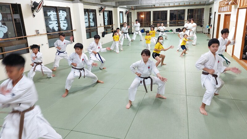 Uechi-ryū Karatedō Kenyūkai Higa Dōjō