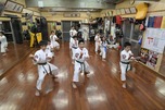 (一社)実戦沖縄武道連盟琉成會 総本部サムネイル画像4