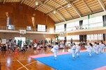 上地流空手道・琉球古武道　琉志会　安謝修武館サムネイル画像4