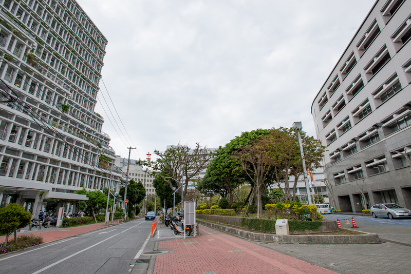 Site of the Butokudenメイン画像1